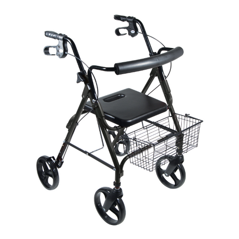 DLite Lightweight Walker/Rollator with 8" Removable Wheels - CSA Medical Supply
